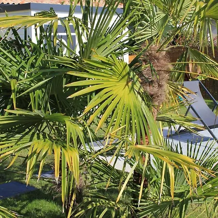 L'entrelacs D'hotes Avec Piscine ,proche Golfs Et Bassin D'arcachon * Sanguinet